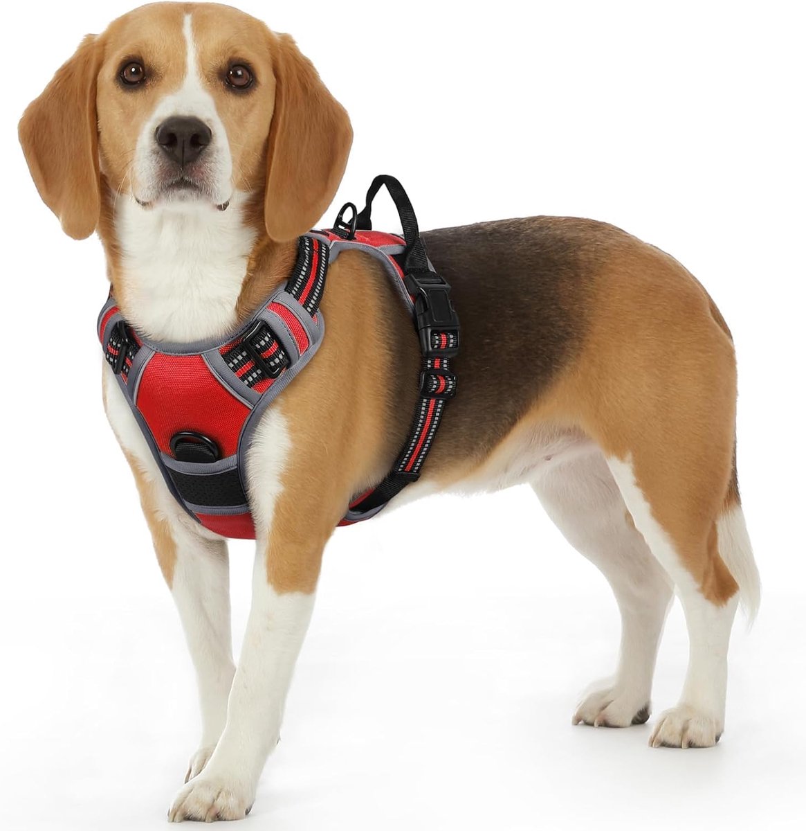 Hondentuig No Pull, Hondenharnas voor Kleine Honden, Verstelbare Harnas Hond met Reflecterend Strepen, Gewatteerd Zacht Ademend, Hondentuigje Anti-trek voor Wandelen Training, Rood S