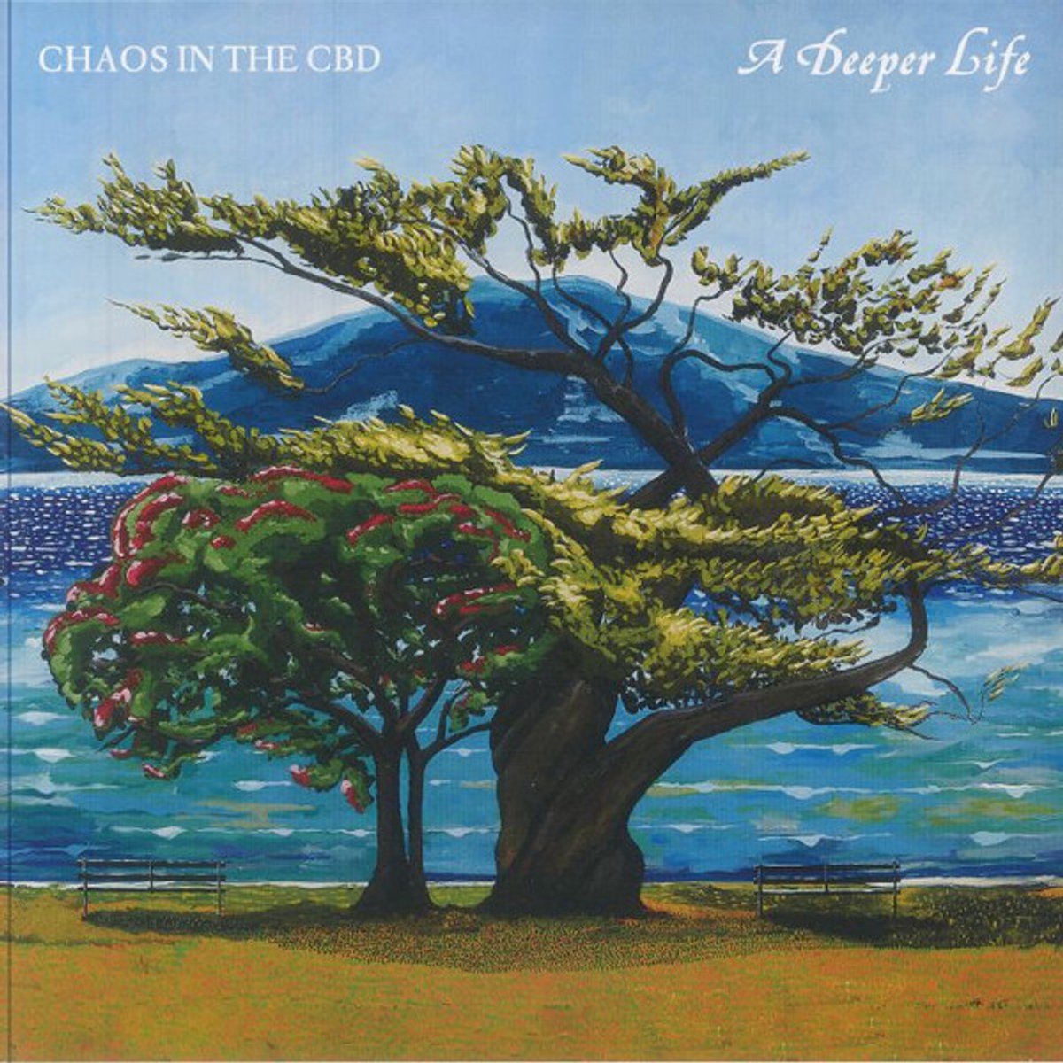 Chaos In The Cbd - A Deeper Life (LP)
