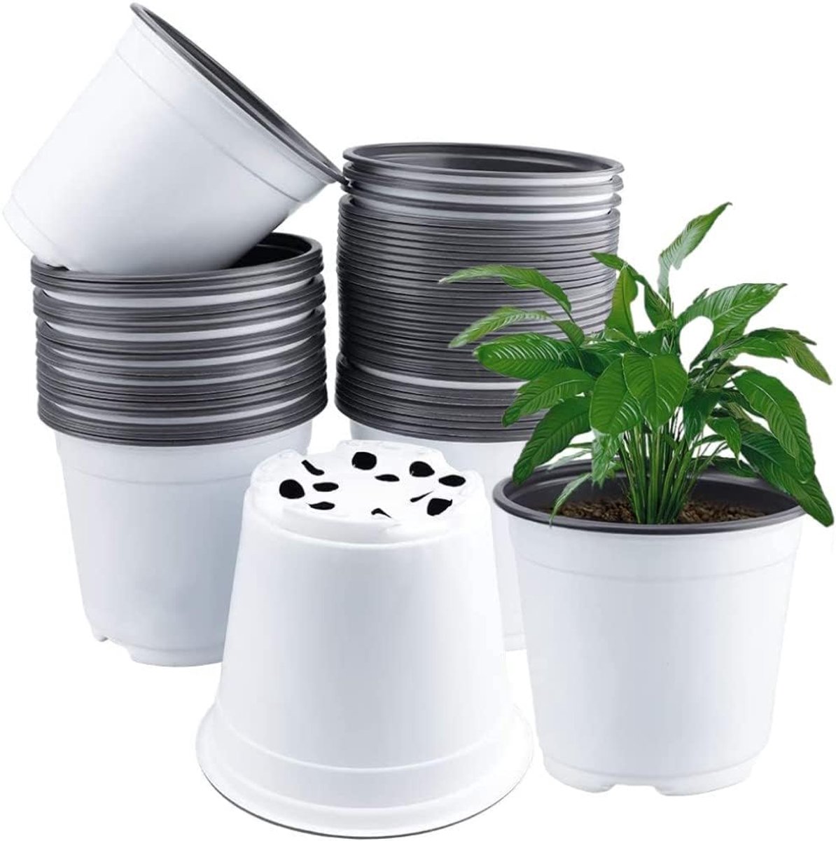 50 stuks 15 cm plastic plantenbloempotten, witte lichtgewicht zaadstartpot, kwekerij, zaailingen, pot, bloemplantcontainer (15 cm x 13 cm)