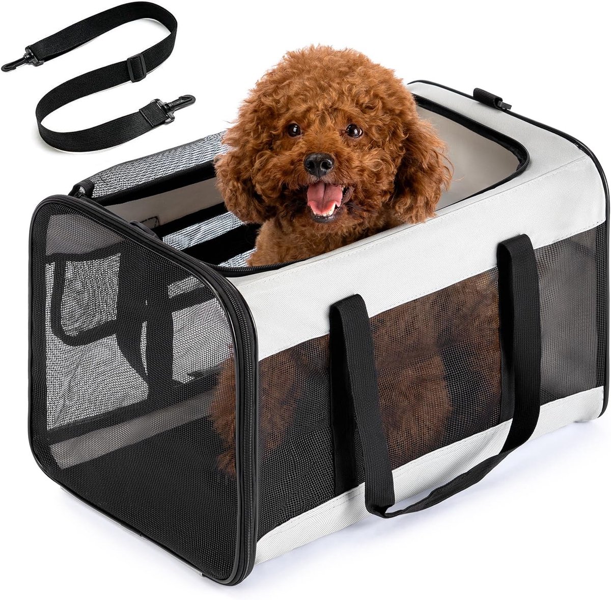 Pet Carrier Hond