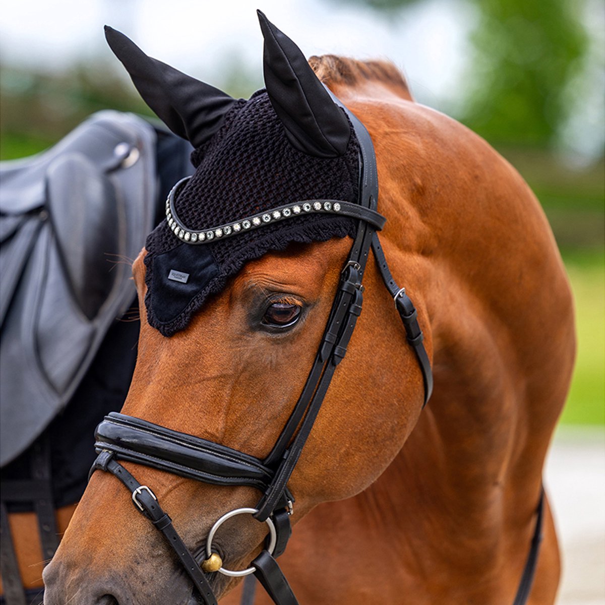 Equestrian Stockholm Oornetje Equestrian Stockholm Velvet Black Zwart