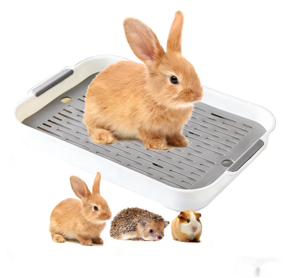 Omgoods - Toilet Box voor Kleine Huisdieren met Circulair Ontwerp