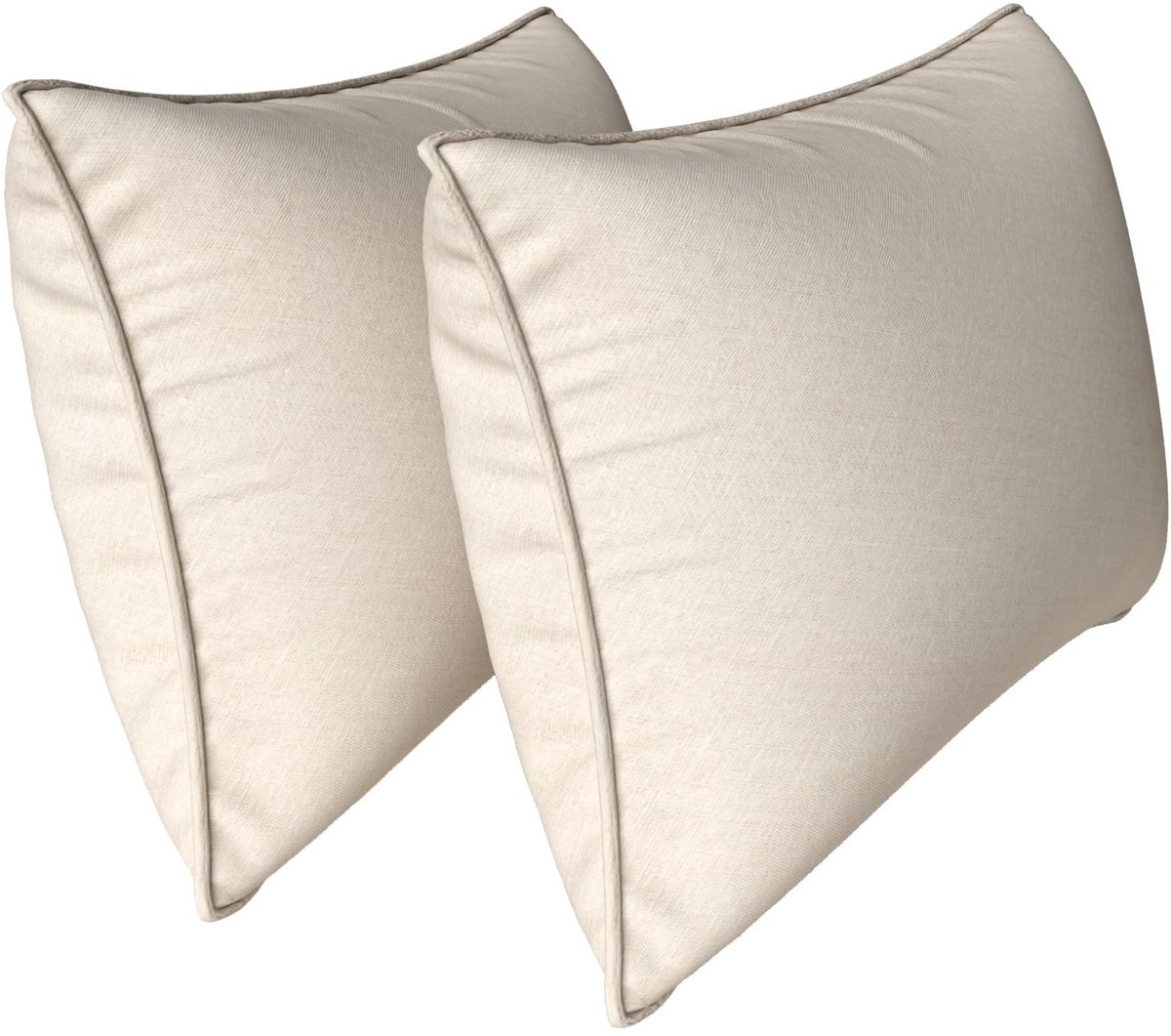 Omgoods - Set van 2 Zachte Kussens 40x60 cm - Decoratieve Kussens voor Sofa en Slaapkamer