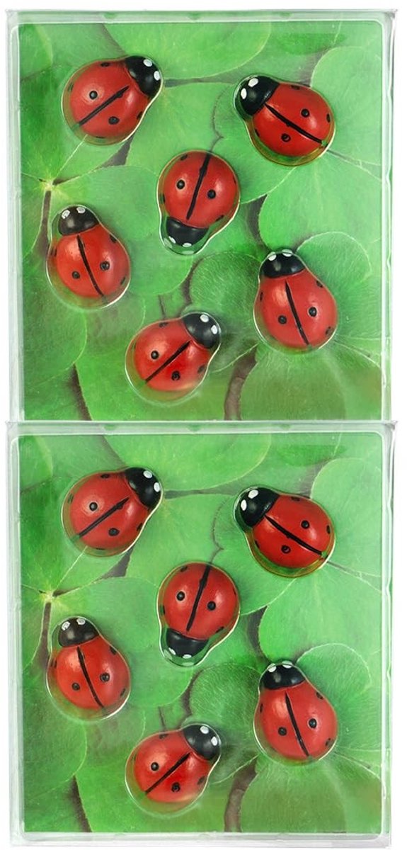 Omgoods - Set van 2 x 6 Decoratieve Lieveheersbeestje Magneten - Kleurrijke Koelkast Magneten