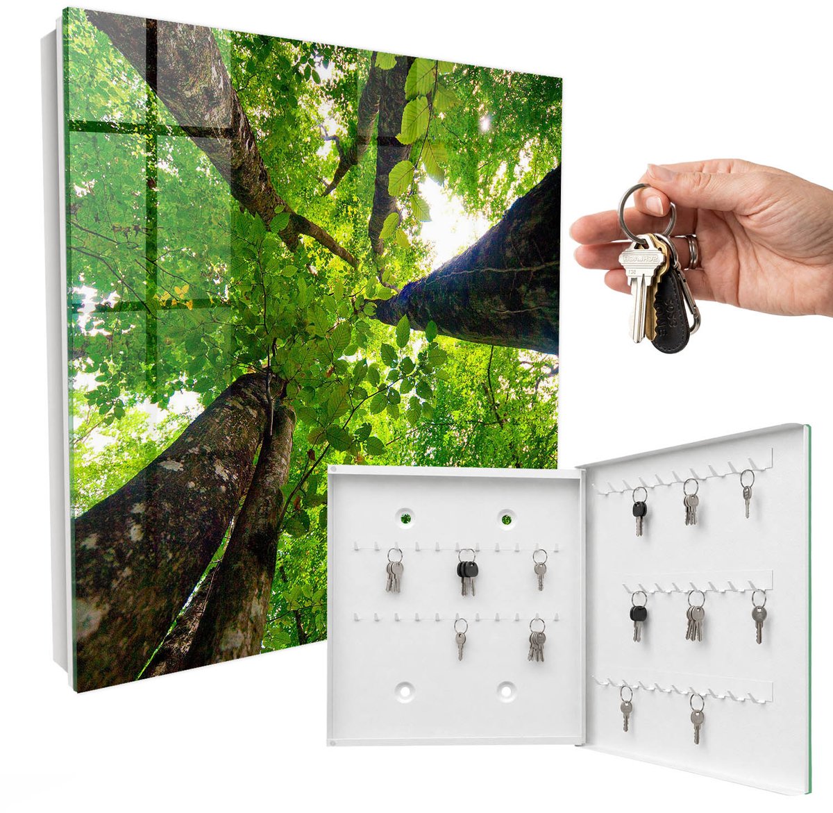 WallMuralia - Sleutelkast - 30x30x5 cm - met 50 haken - Boshemel Sleutelkastje Modern - Groente Sleutelbox - Rechtsopenend - Wit interieur