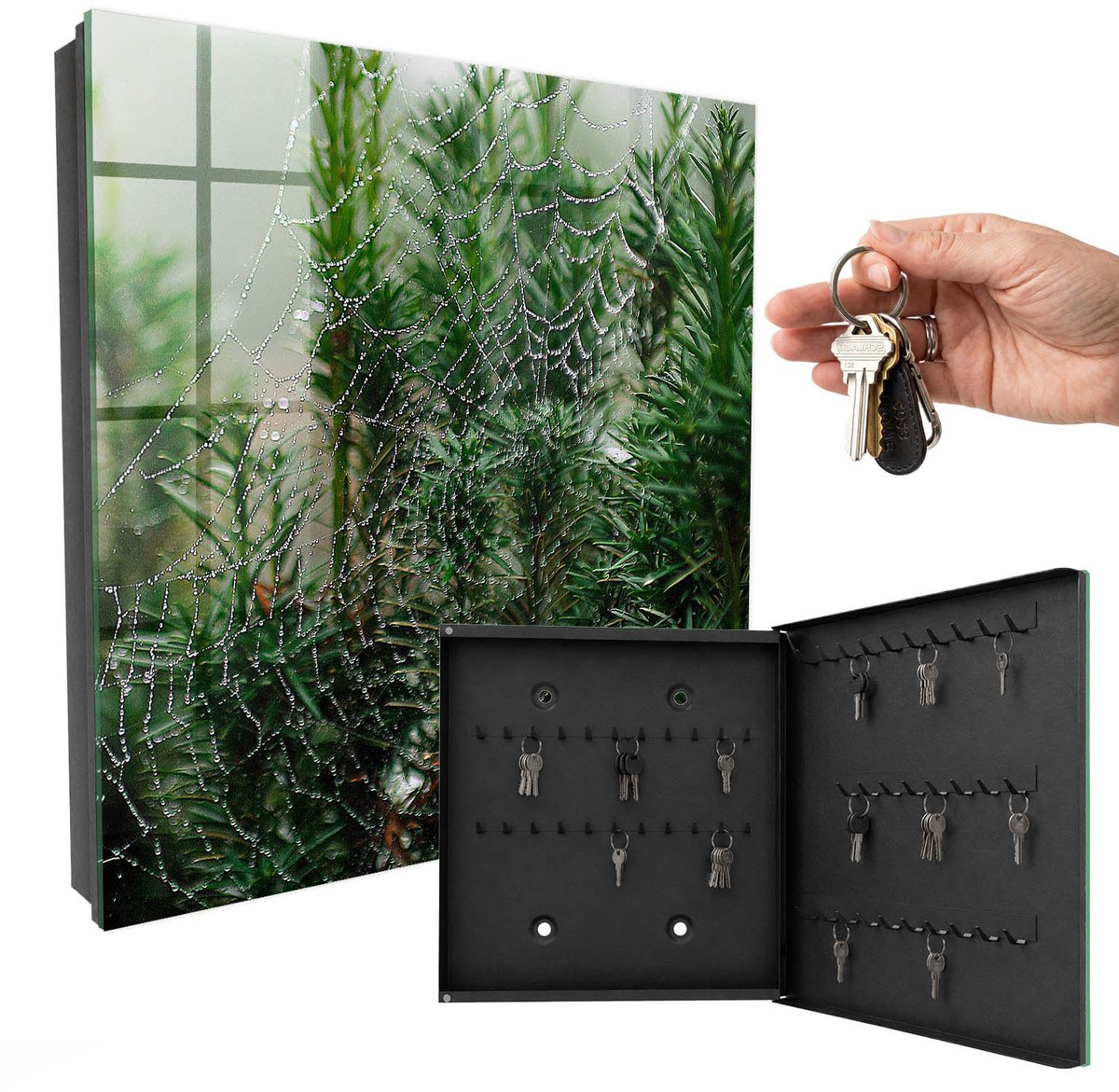 WallMuralia - Sleutelkast - 30x30x5 cm - met 50 haken - Spinnenweb In Het Bos Sleutelkastje Voor Binnen - Groente Sleutelbox - Rechtsopenend - Zwart interieur