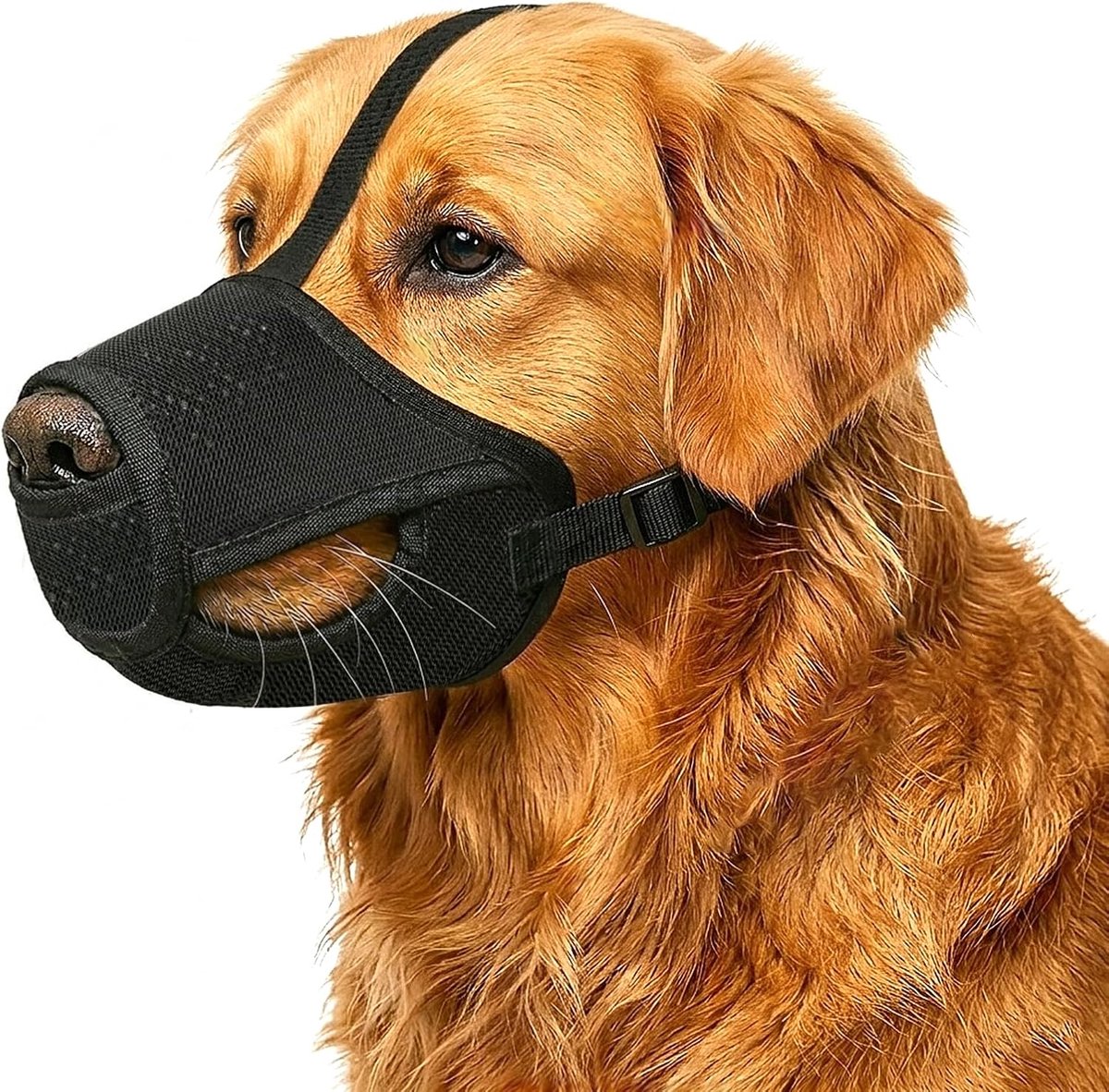 Mesh Hondensnuit - Anti Bite, Kauwen & Opruimen, Maakt kinkelen/drinken mogelijk, Verstelbare No-Rub Trim voor kleine/middelgrote/grote honden(L,Zwart)