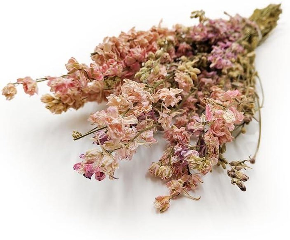Gedroogde Ridderspoor - Dolfijn bloem - Interieur Decoratie - Natuurlijke Romantische Kleur - 60 cm - Roze