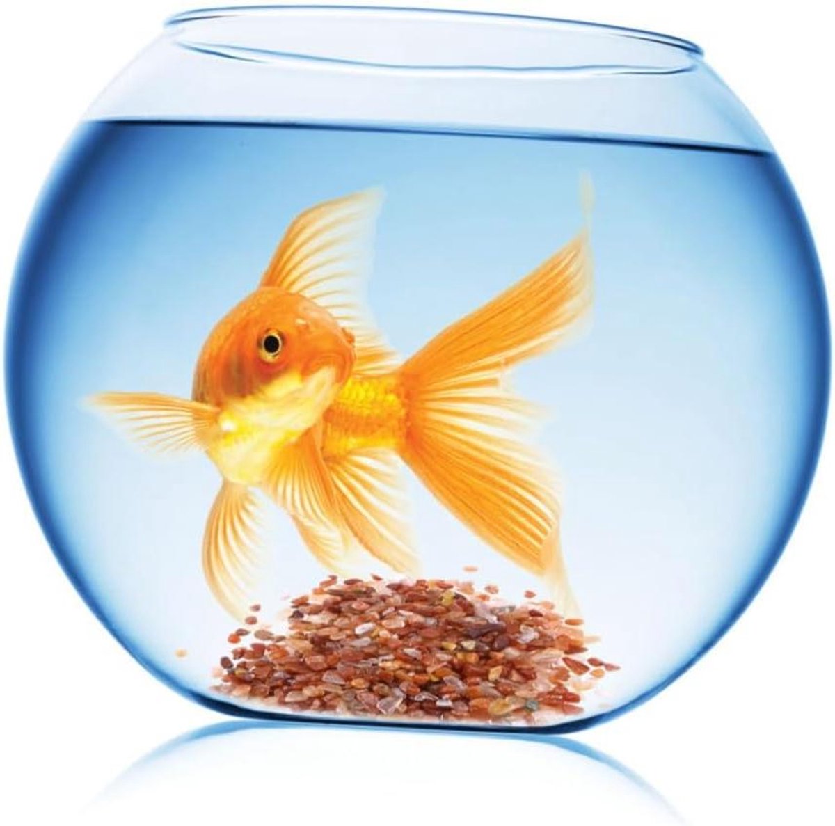 Aquarium Bodembedekking - Decoratie Steentjes - Aquarium Decoreren - Gladde Gepolijste Steentjes - 100 gram - Rood