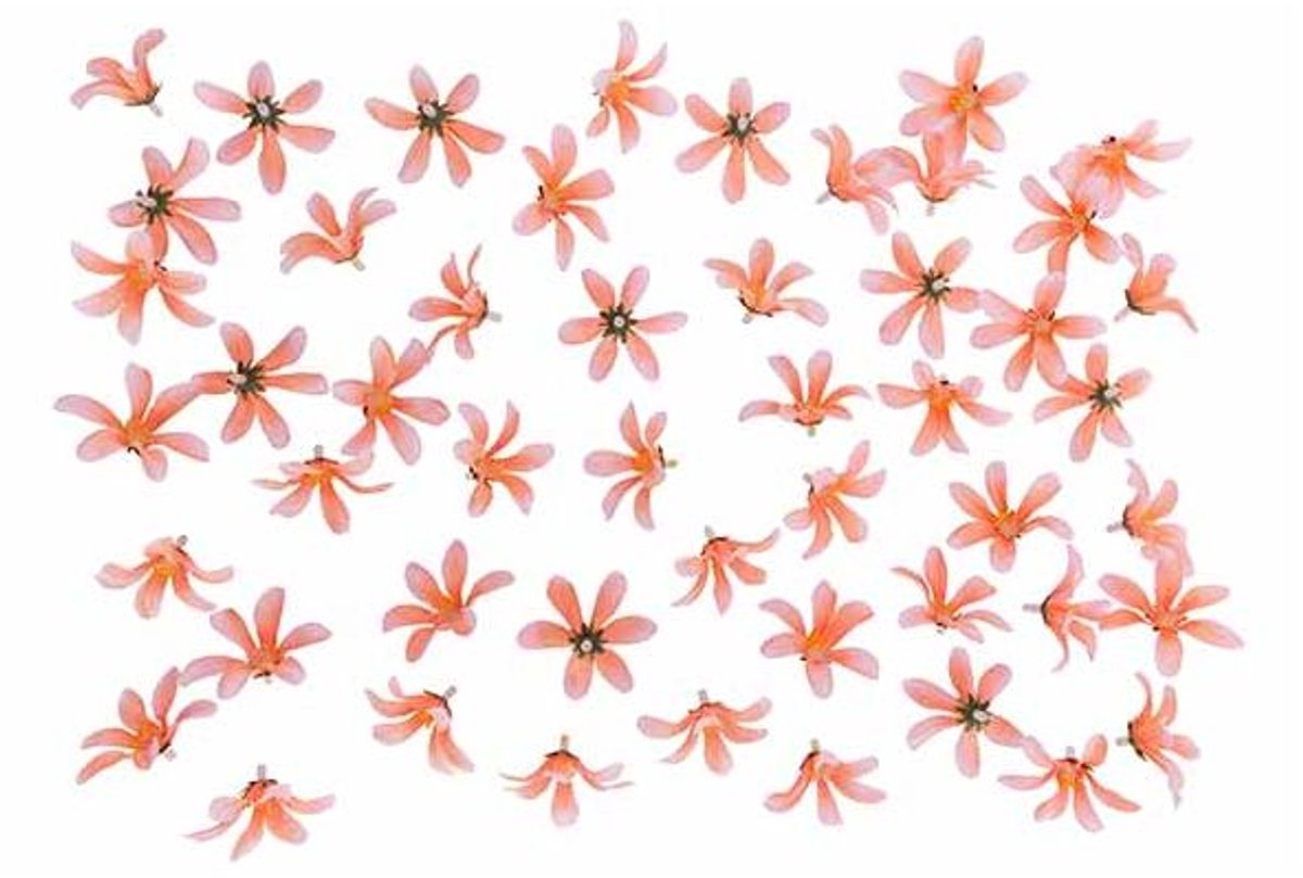 Strooideco Flowers Roze Textiel