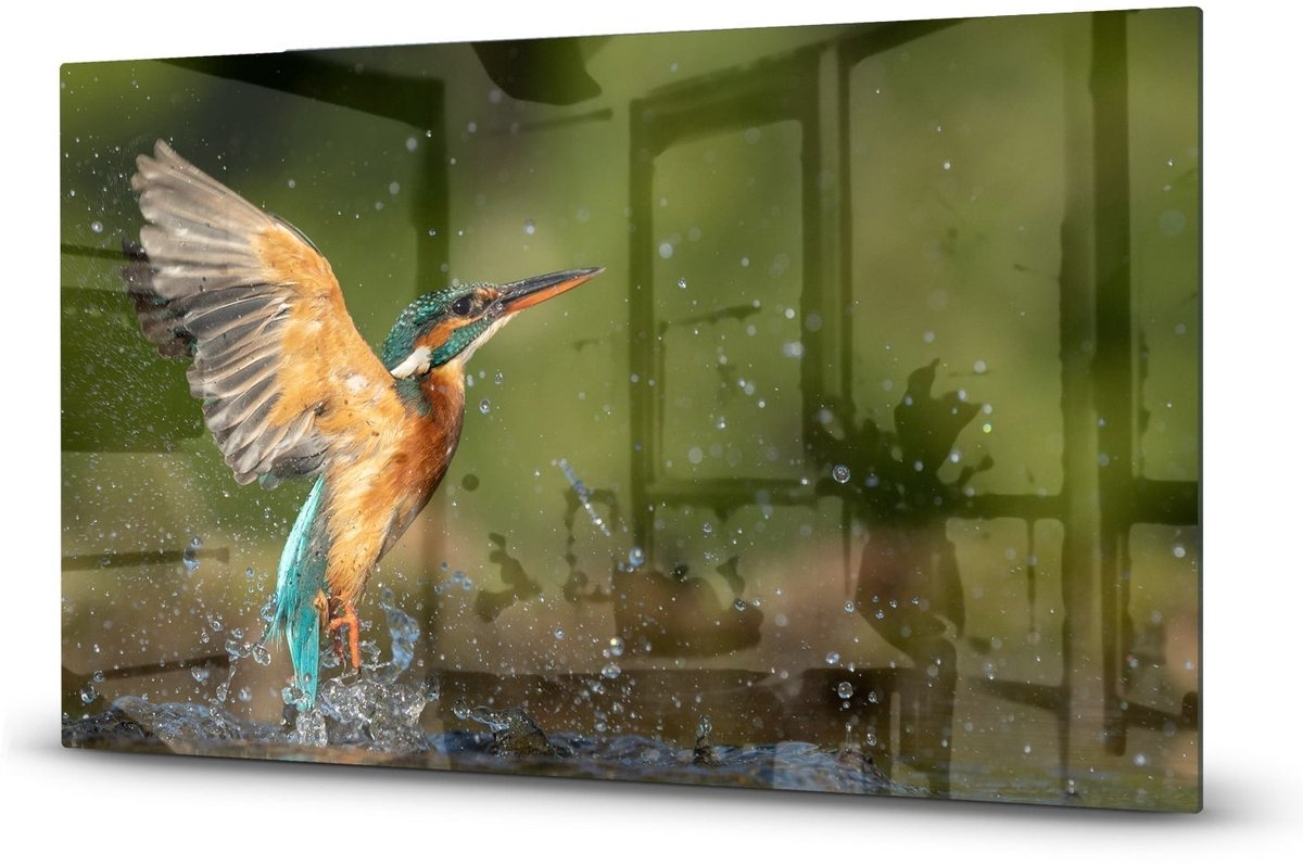 Mydesignglas Glazen Inductie Beschermer - Krasvrij Gehard Glas met Antislip - Afdekplaat voor Kookplaat - Spatscherm Achterwand Keuken - Ijsvogel - 90x52