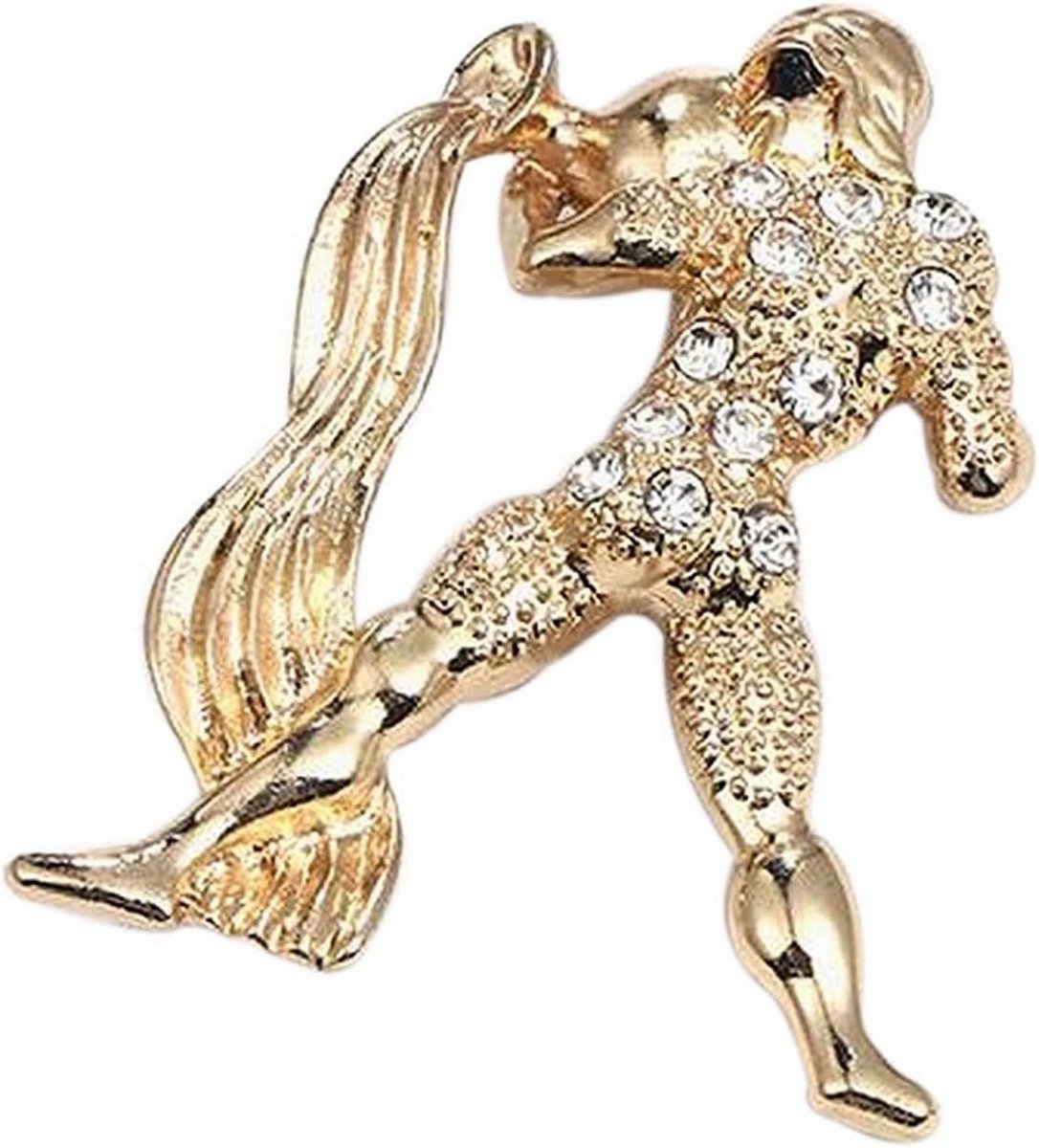 Broche sieraden sterrenbeeld waterman van verguld staal., Roestvrij staal