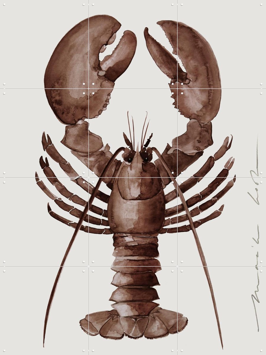 IXXI Lobster - Brown, Maaike Koster & My Deer Art Shop - 60 x 80 cm - Gratis ophangtool - Grote wanddecoratie en posters - Schilderijen, Aquarel