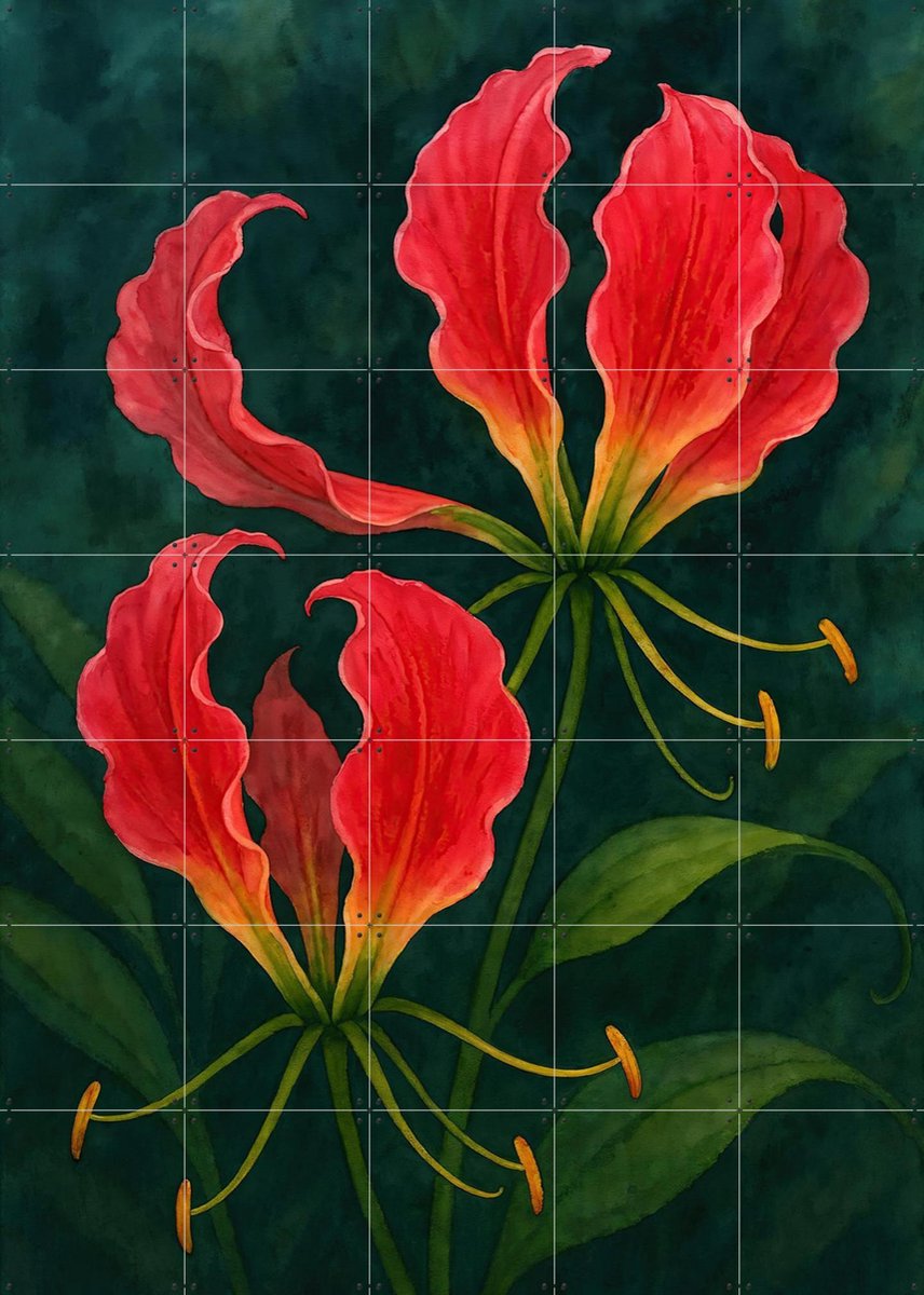 IXXI Rode Gloriosa Superba Bloemen, Natalie Bruns - 100 x 140 cm - Gratis ophangtool - Grote wanddecoratie en posters - Schilderijen, Gang