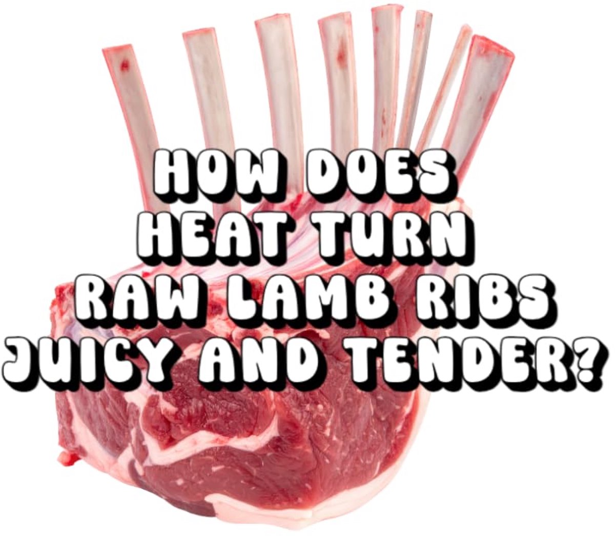 Does Heat Turn Raw Lamb Ribs Juicy and Tender?