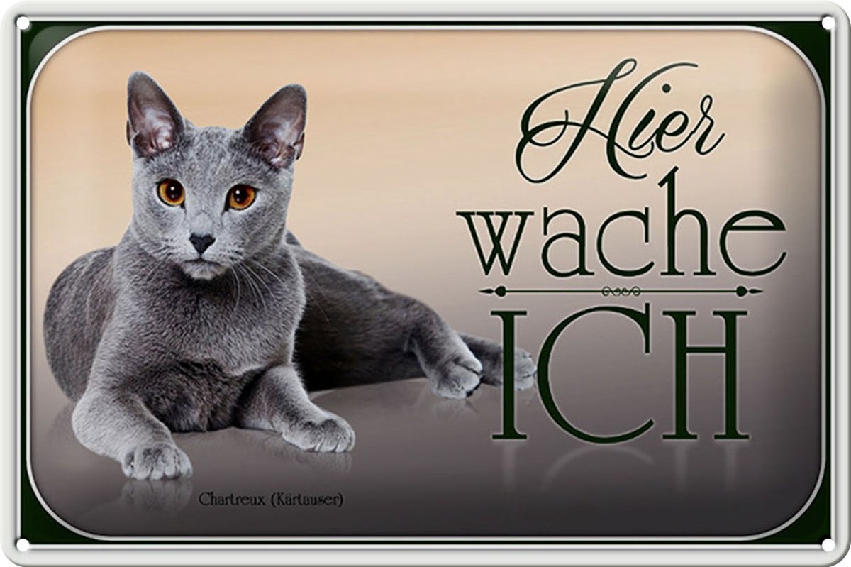 Blechschild Katze 30x20cm Chartreux hier wache ich