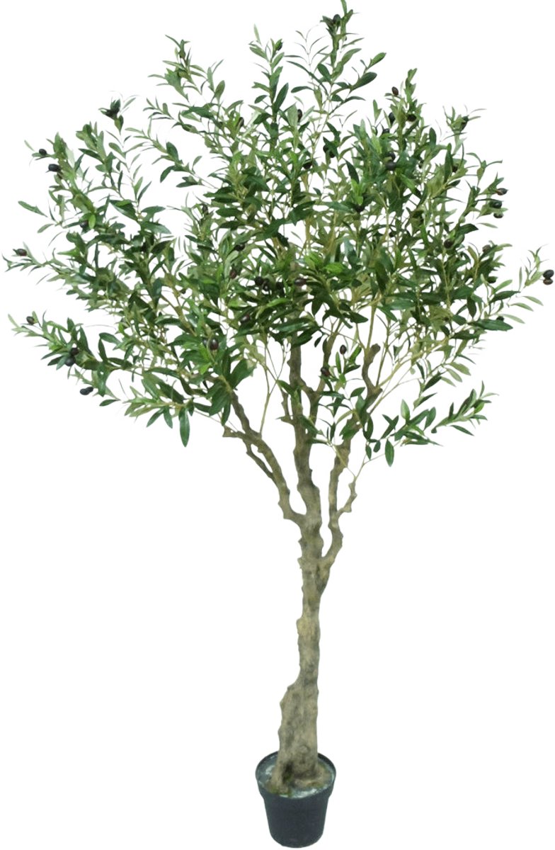 Easyplants | Kunst Olijfboom 200 cm | Zijde | Olea | Olijfgroen