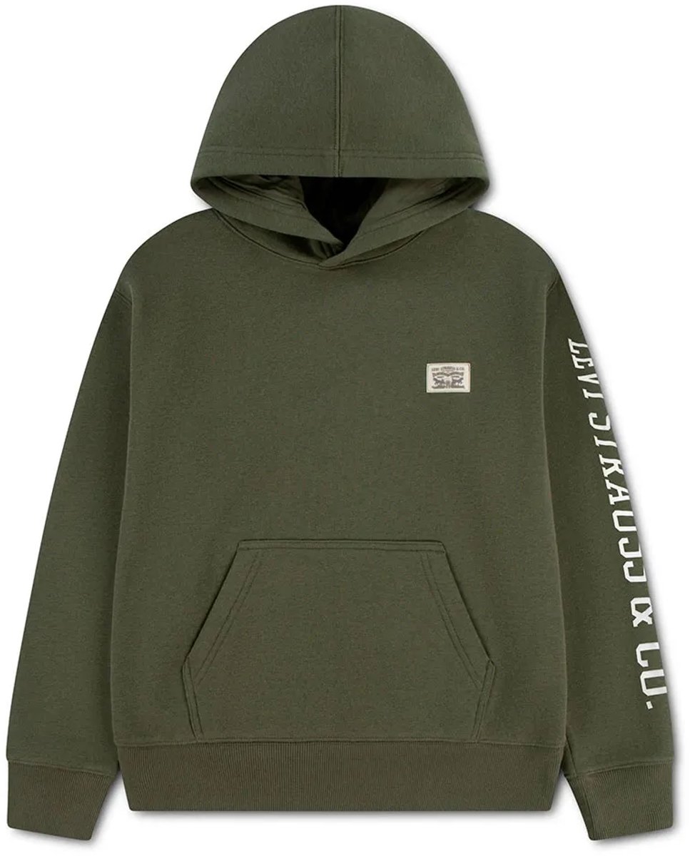 Levi´s ® Kids Hit Hoodie Groen 4 Years Jongen