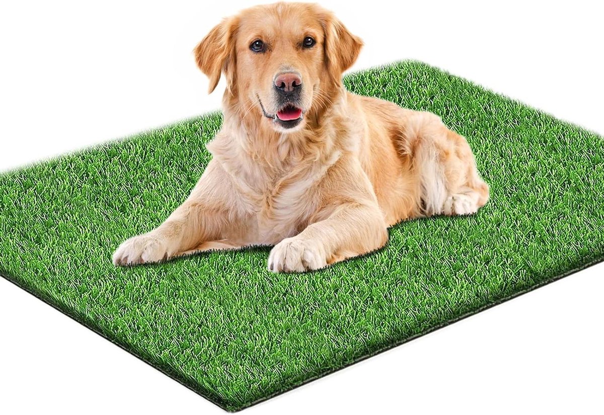 Hondentoilet - Balkon training - Zindelijkheid puppy - Realistisch gras - 80x100 cm - Groen