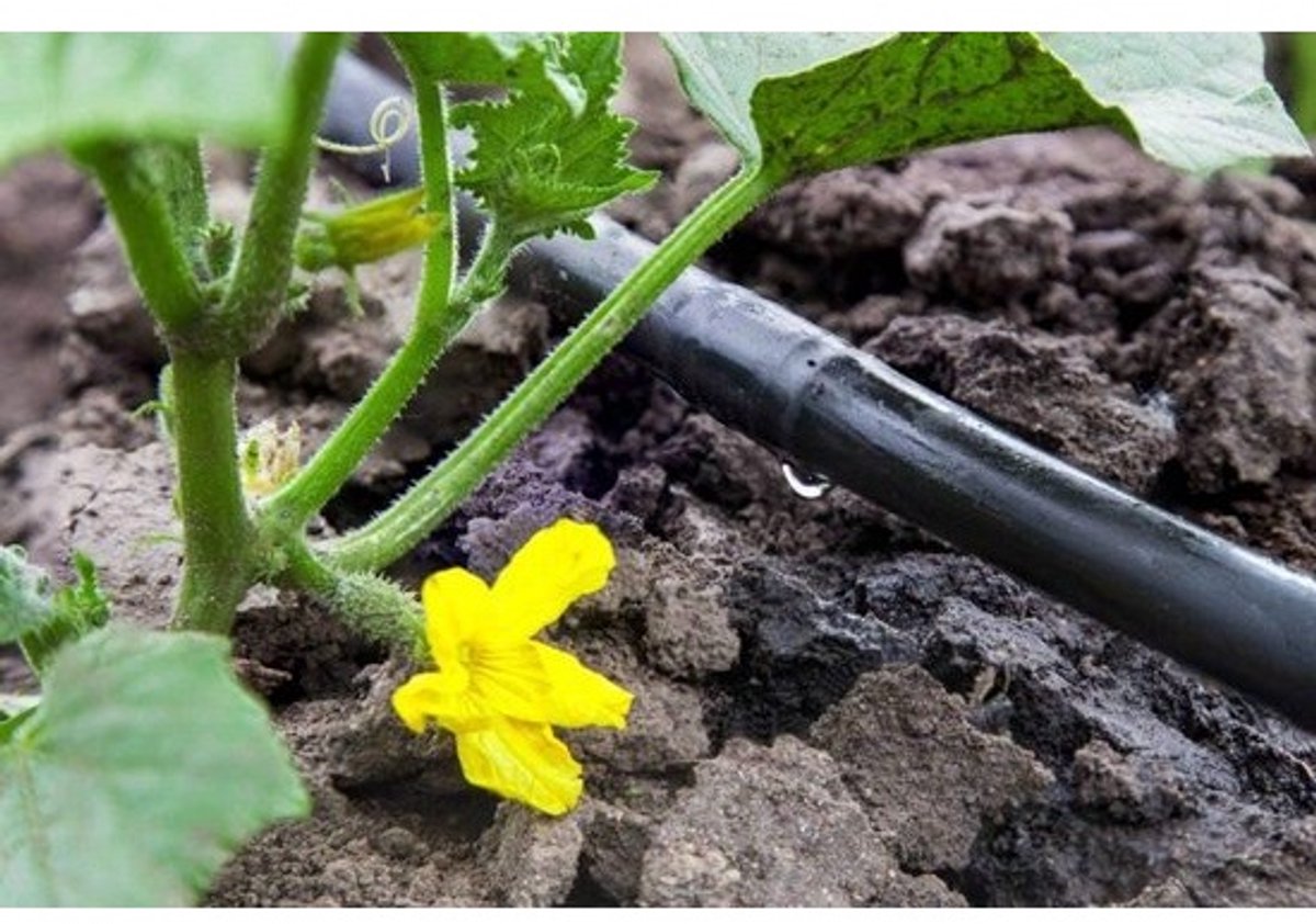100x Druppelslang 20mm Zwart met Borgring Verbindingsstukken voor Tuinirrigatie