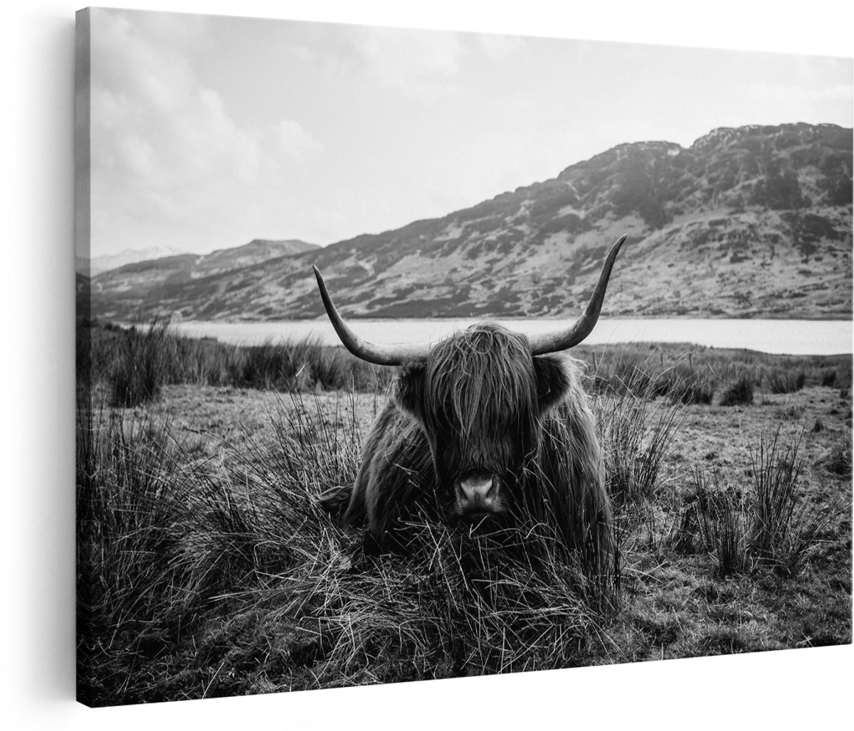 Artaza Canvas Schilderij Schotse Hooglander ligt in het Gras - Zwart Wit - 150x100 cm - Groot - Foto Op Canvas - Wanddecoratie