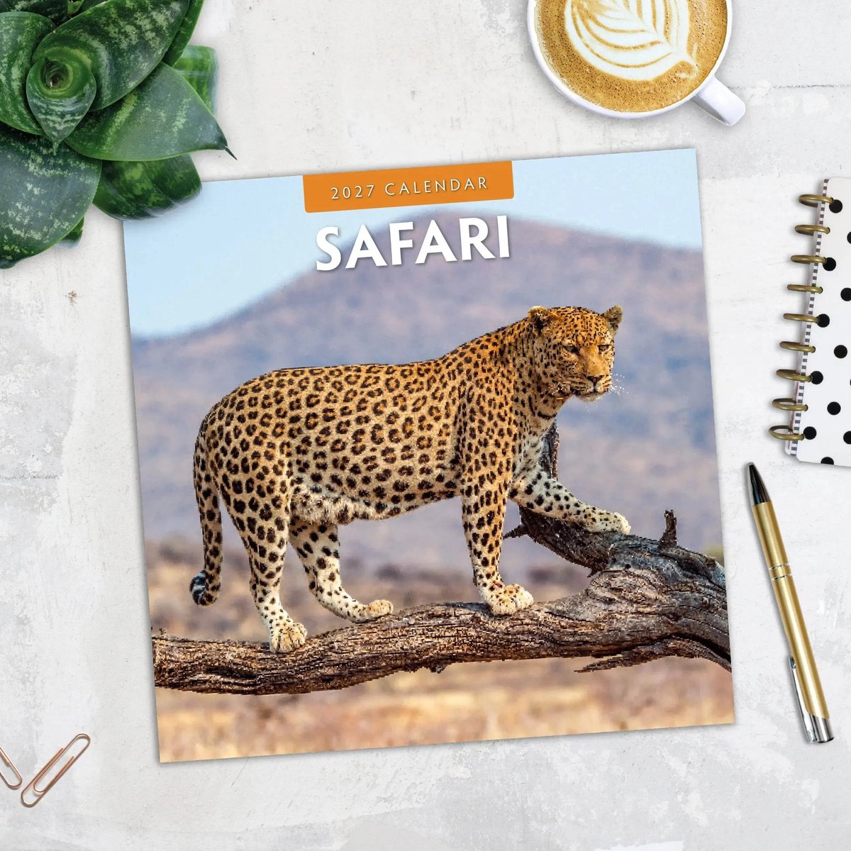 Safari Kalender 2027
