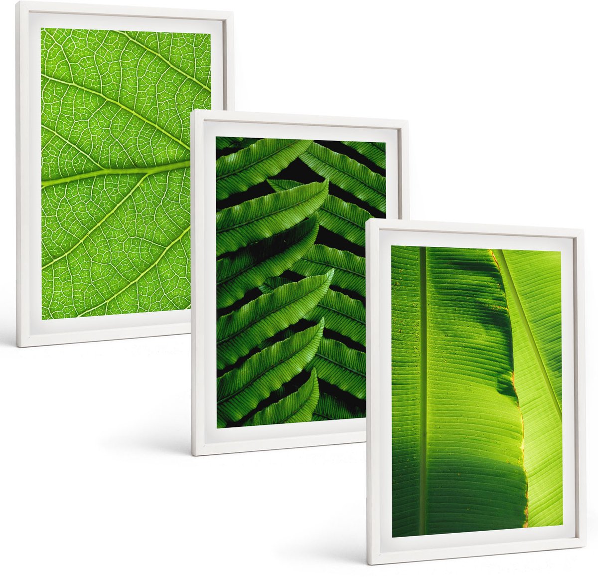 Wallfluent 3-Delige Schilderij Set - Close-Ups Van Tropische Bladeren - 40 x 60 - Schilderijen Set - Wanddecoratie - Woonkamer - Moderne Wanddecoratie