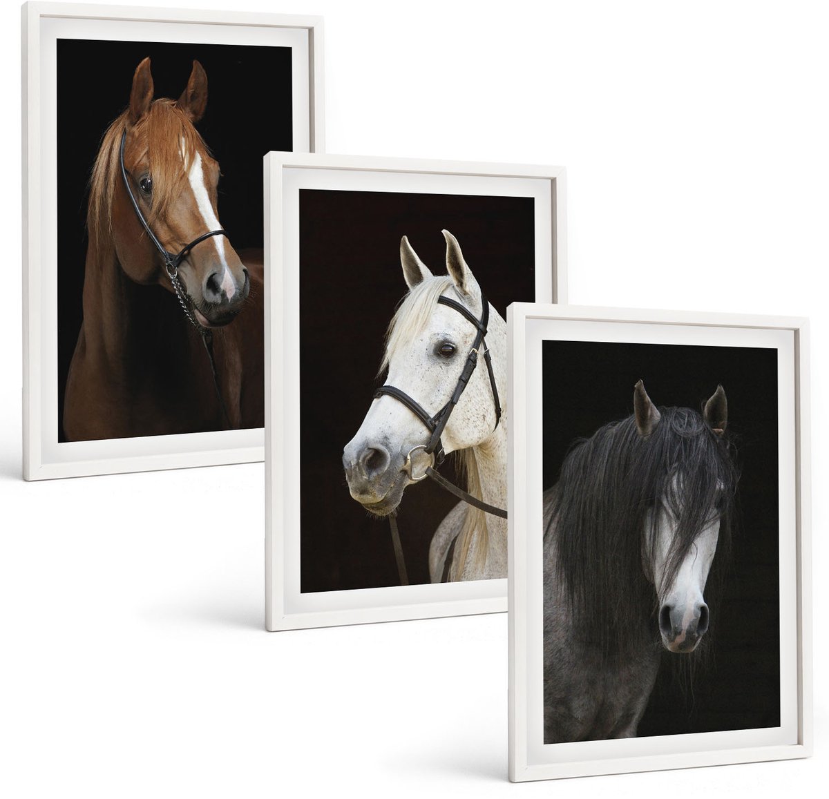 Wallfluent 3-Delige Schilderij Set - Portretten Van Paarden In Verschillende Vachtkleuren - 40 x 60 - Decoratieve Muurdecoratie - Slaapkamer - Stijlvolle Muurdecoratie