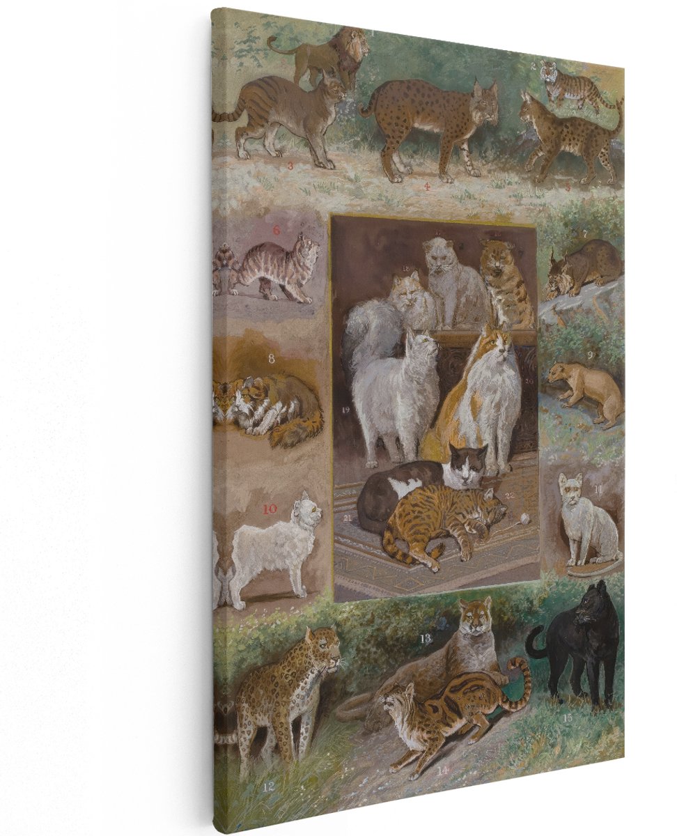 Artaza Canvas Schilderij Kattensoorten - 120x180 cm - Groot - Wanddecoratie Dieren - Muurdecoratie Vintage - Decoratie Leeuw Panter