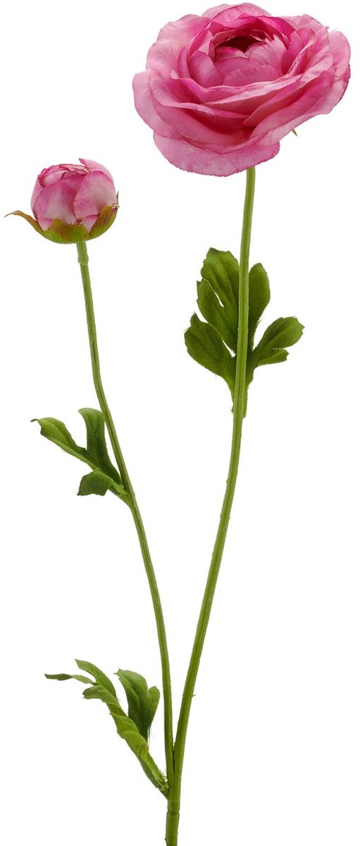 Gasper Ranonkel roze Ø 8.5 cm 63 cm