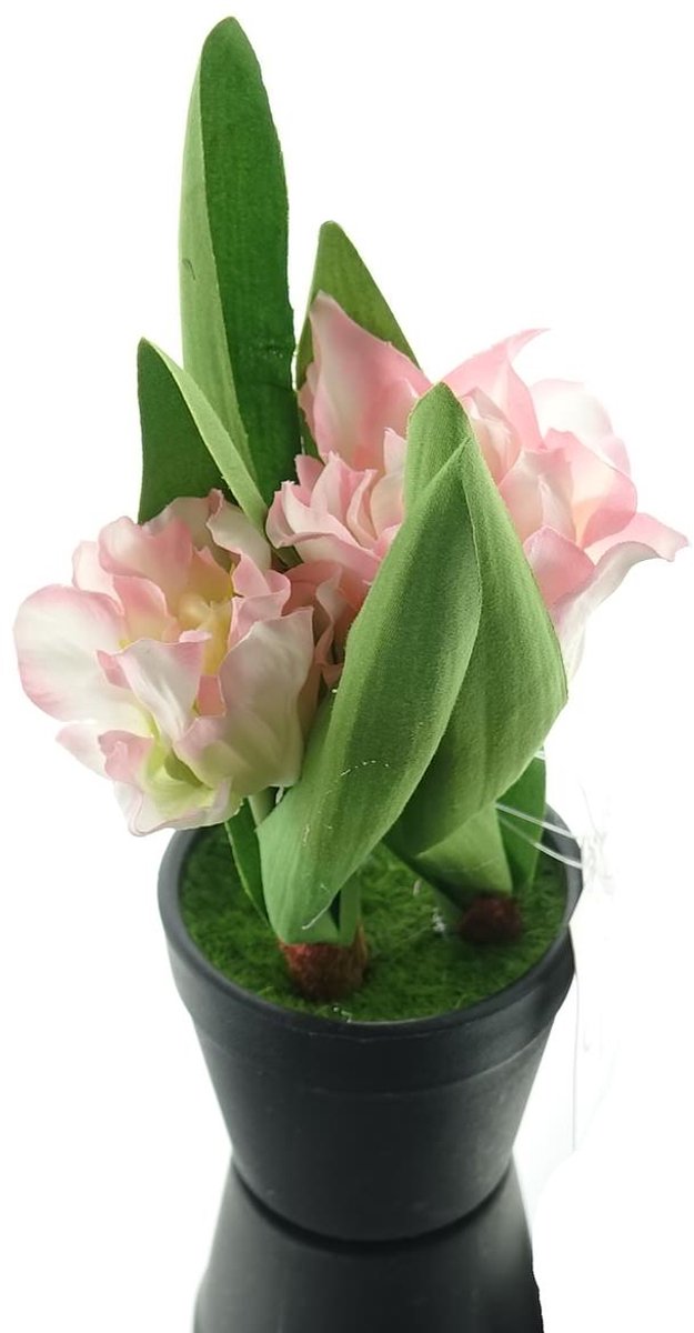 Gasper Tulpen Roze en Wit in Zwarte Minipot 19 cm - Kunstplant
