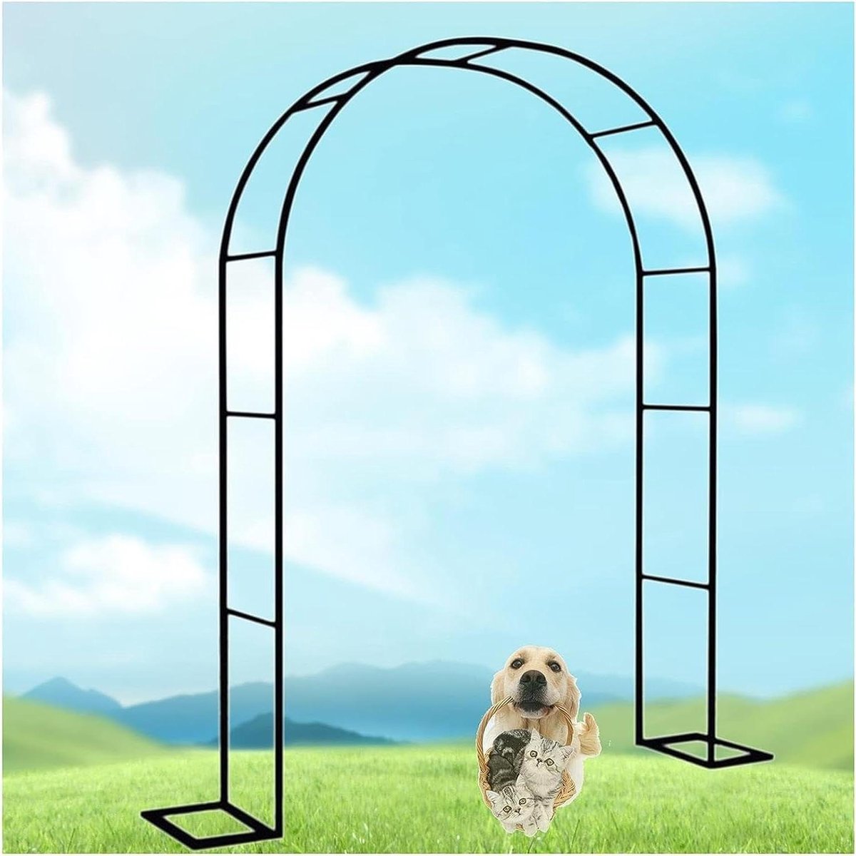 Rozenboog Metaal - Tuinboog Klimhulp - Decoratie Planten - Versterkte Buizen - B 120 x H 220 cm - Zwart