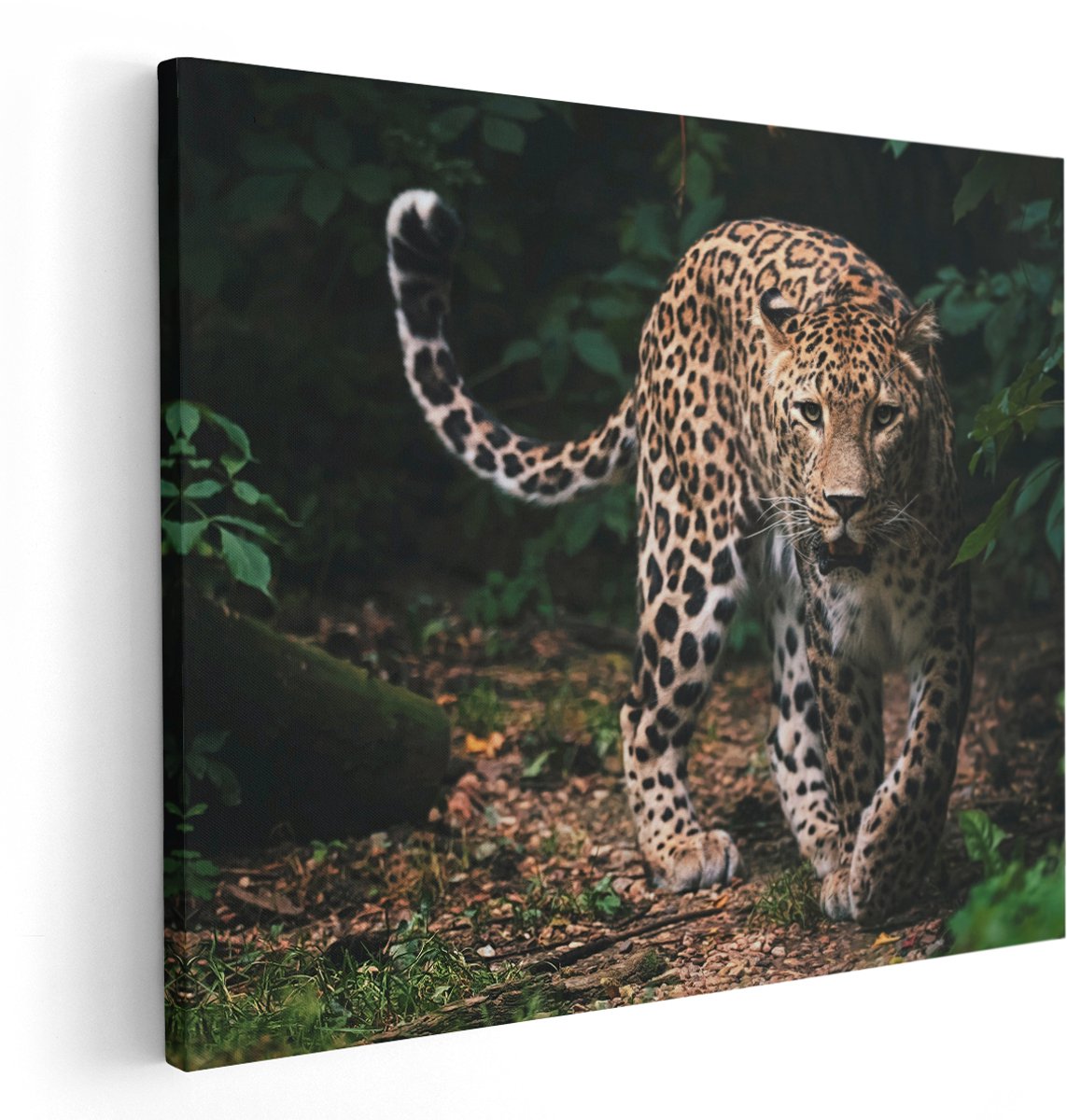 Artaza Canvas Schilderij Luipaard In Het Bos - 150x120 cm - Groot - Wanddecoratie Woonkamer - Schilderijen - Muurdecoratie