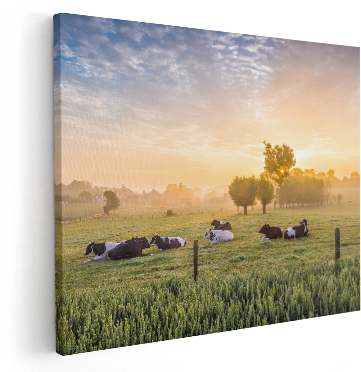 Artaza Canvas Schilderij Koeien In De Wei Tijdens Zonsopgang - 150x120 cm - Groot - Wanddecoratie Woonkamer - Schilderijen - Muurdecoratie