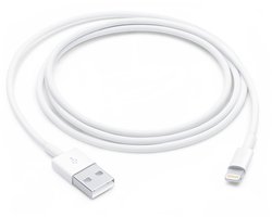 Câble USB Apple vers Lightning - 1 mètre