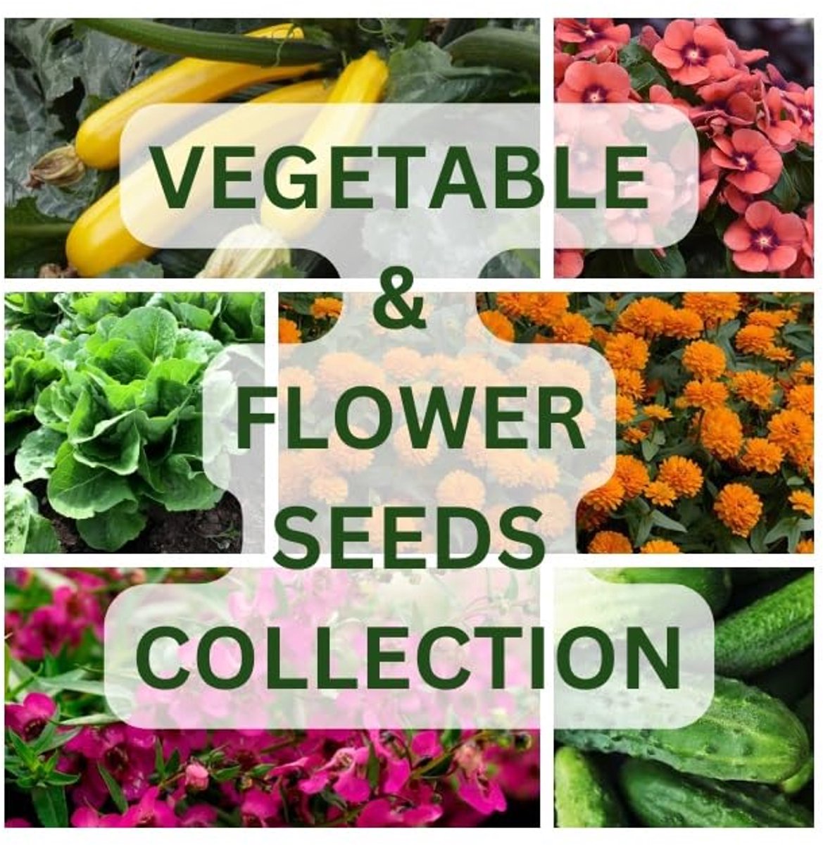 Dailygoods - Nojus Bloemen- en Groentezadenmix - 50 Soorten Tuinzaden Assortimentbox