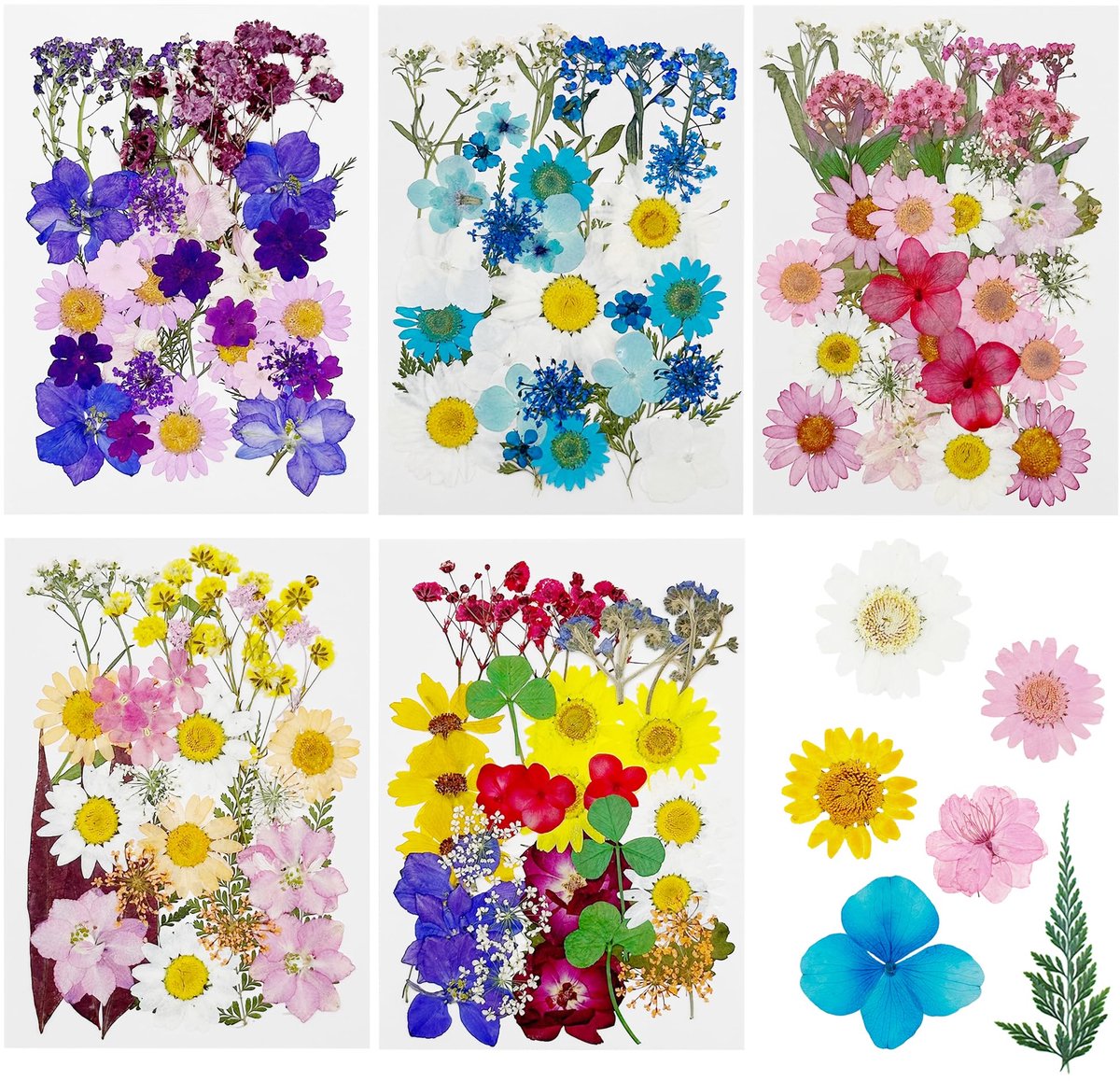 Dailygoods - 170 Stuks Natuurlijke Geperste Gedroogde Bloemen - Scrapbooking Accessoires
