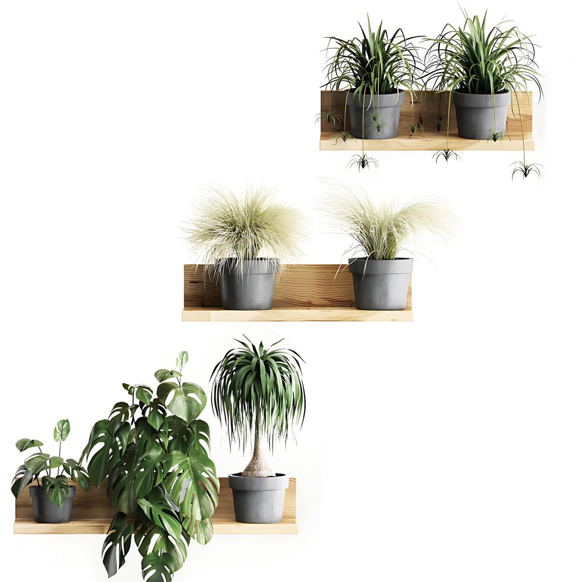 Dailygoods - Muursticker Planten 3D - Zelfklevende Wanddecoratie voor Woonkamer en Slaapkamer
