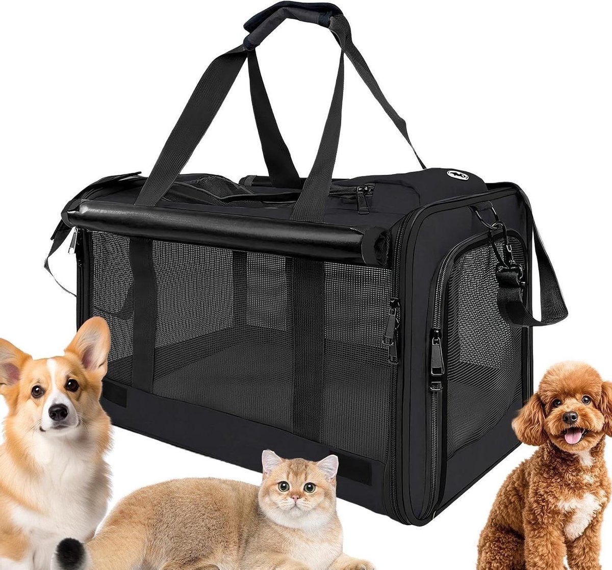 Kattenvervoerder - Reistas Kat - Dierenarts Bezoek - Ademende Mesh Structuur - 46 x 30 x 30 cm - Zwart