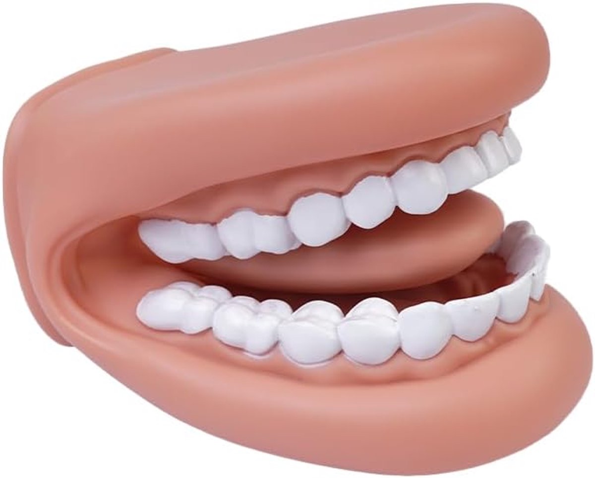 SnelShoppen - Tandheelkundig Model Onderwijs - Vergroot Mondmodel met Tanden en Tong - Leer Oral Hygiene - Onderwijsmodel voor Studenten - Handzaam en