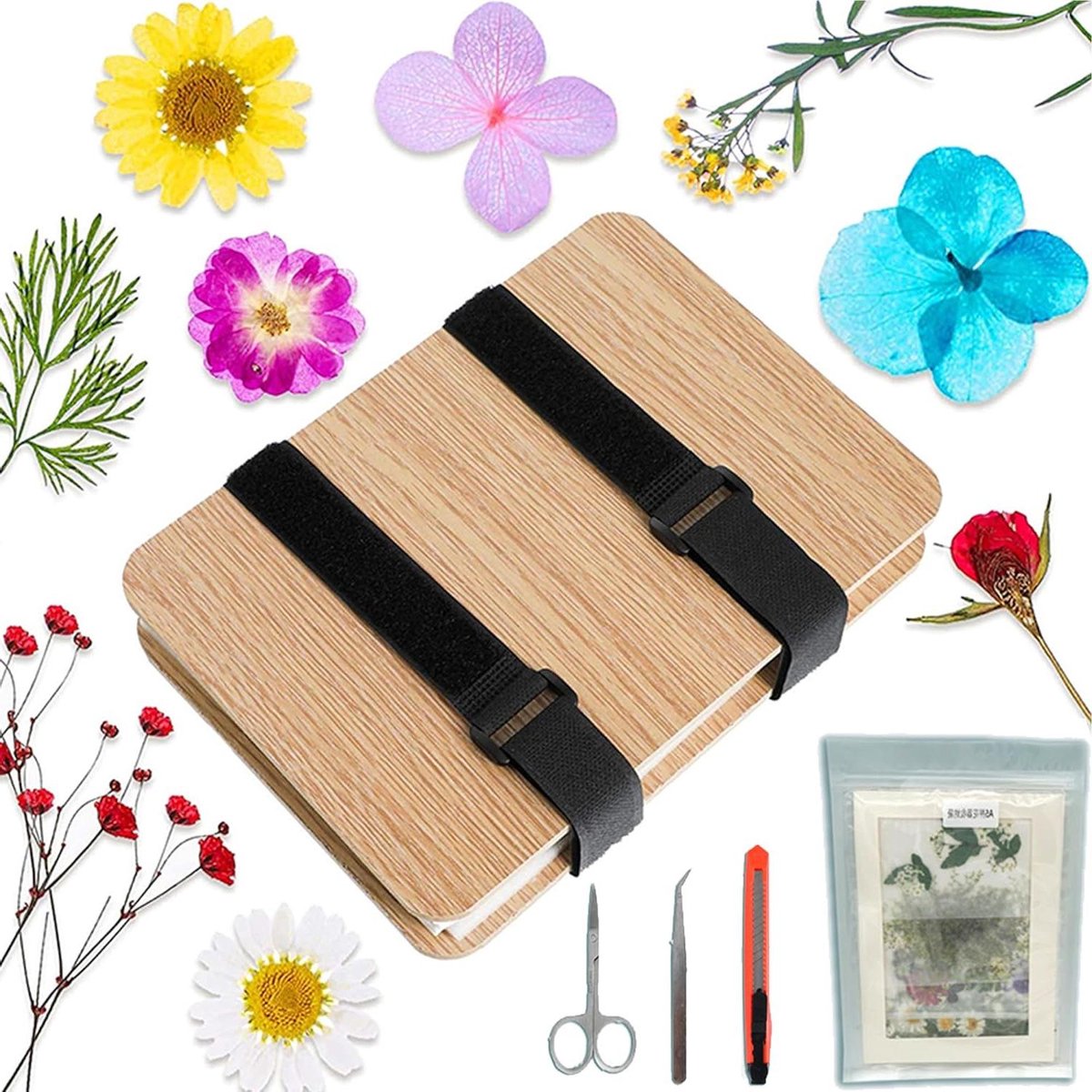 Bloemenpers Set - Plantenpers Hout - Botanische Kunst - 6 Lagen Drogen - 13 x 20 cm - Houtkleur