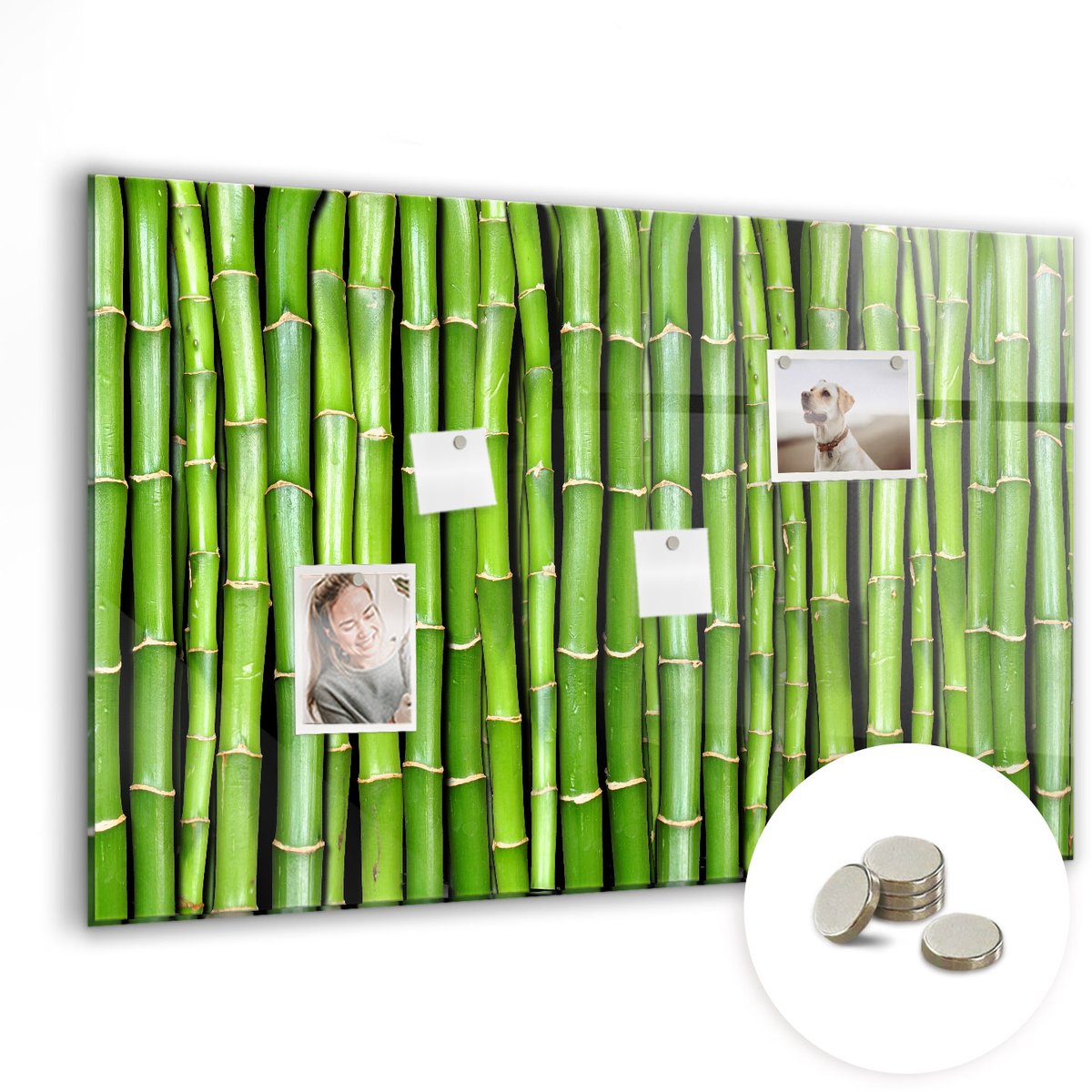 Coloray Glazen Magneetbord - Magnetisch Bord steiger aan het meer - 90x60 cm - Groente Magneetbord - Magnetic Board - Woonkamer Decoratie