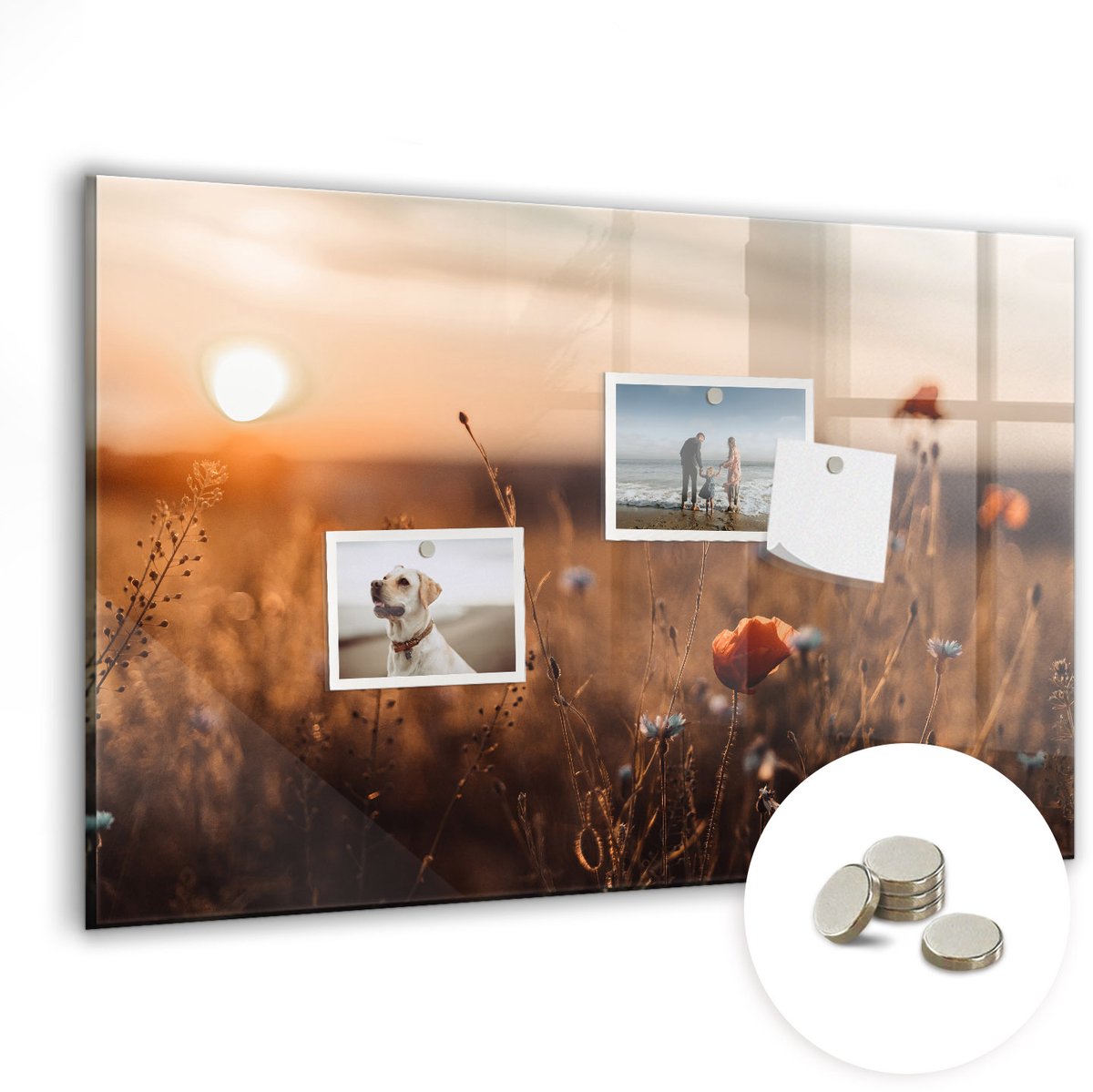 Coloray Glazen Magneetbord - Magnetisch Bord Zonsopgang in het veld - 60x40 cm - Veelkleurig Magneetbord - Magnetic Board - Bureau Decoratie