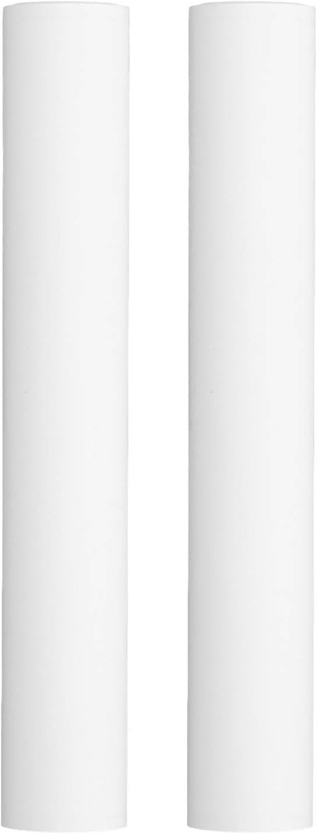 SnelShoppen - 2 Rollen Thermisch Papier A4 210 x 30 mm voor Printers, Facturen, Schetsen en Commerciële Documentatie - Hoogwaardige Kwaliteit, Waterdi