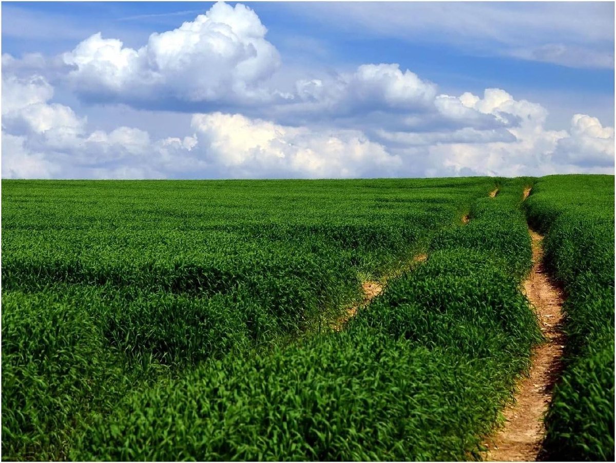 Legpuzzel Landschap - Puzzel Volwassenen - Ontspanning Thuis - Achterwand Scheidingswand - 1500 Stukjes - Kleurrijk