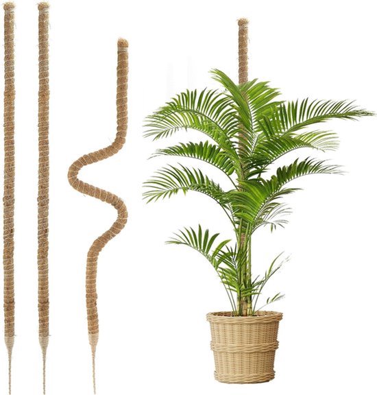 3 Stuks Mosstokken 120 cm voor Binnen en Buiten - Ondersteuning voor Monstera en Klimplanten met Buigbare Kokosstokken