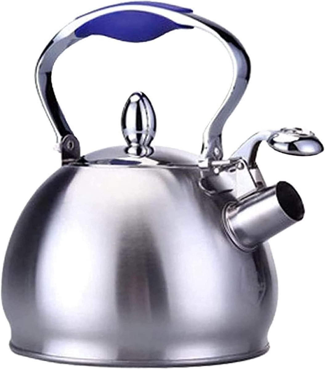 Waterkoker Fluitketel - Theepot RVS - Water Koken - Brede Opening - 25 Liter - Zilver