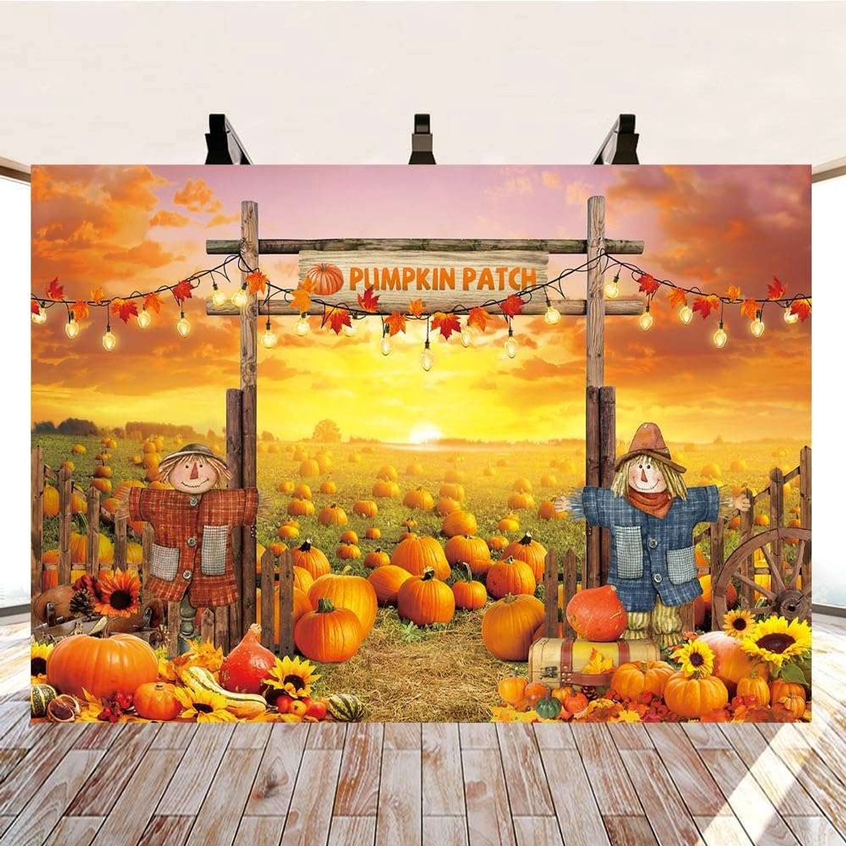 CE - Fotostudio Achtergrond - Banners Vinyle - Herfst Boerderij - Pompoenen