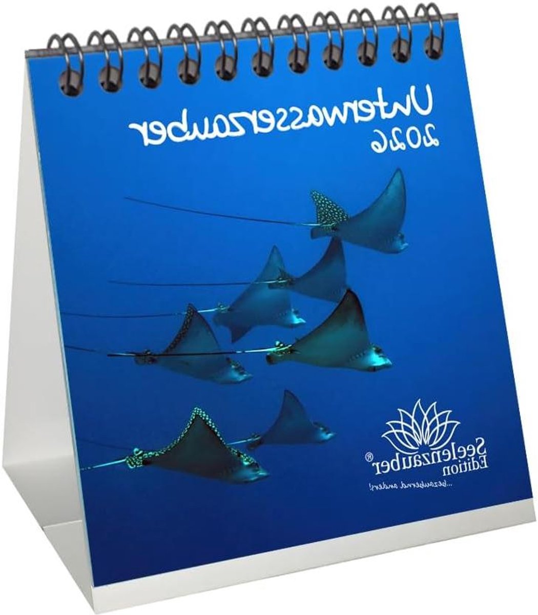 Tafelkalender - Onderwater thema - Planning 2026 - Met hangers - 10x10 cm - Meerkleurig