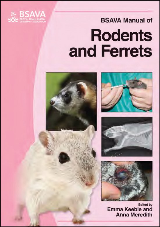 Bsava Manual Of Rodents And Ferrets - cover